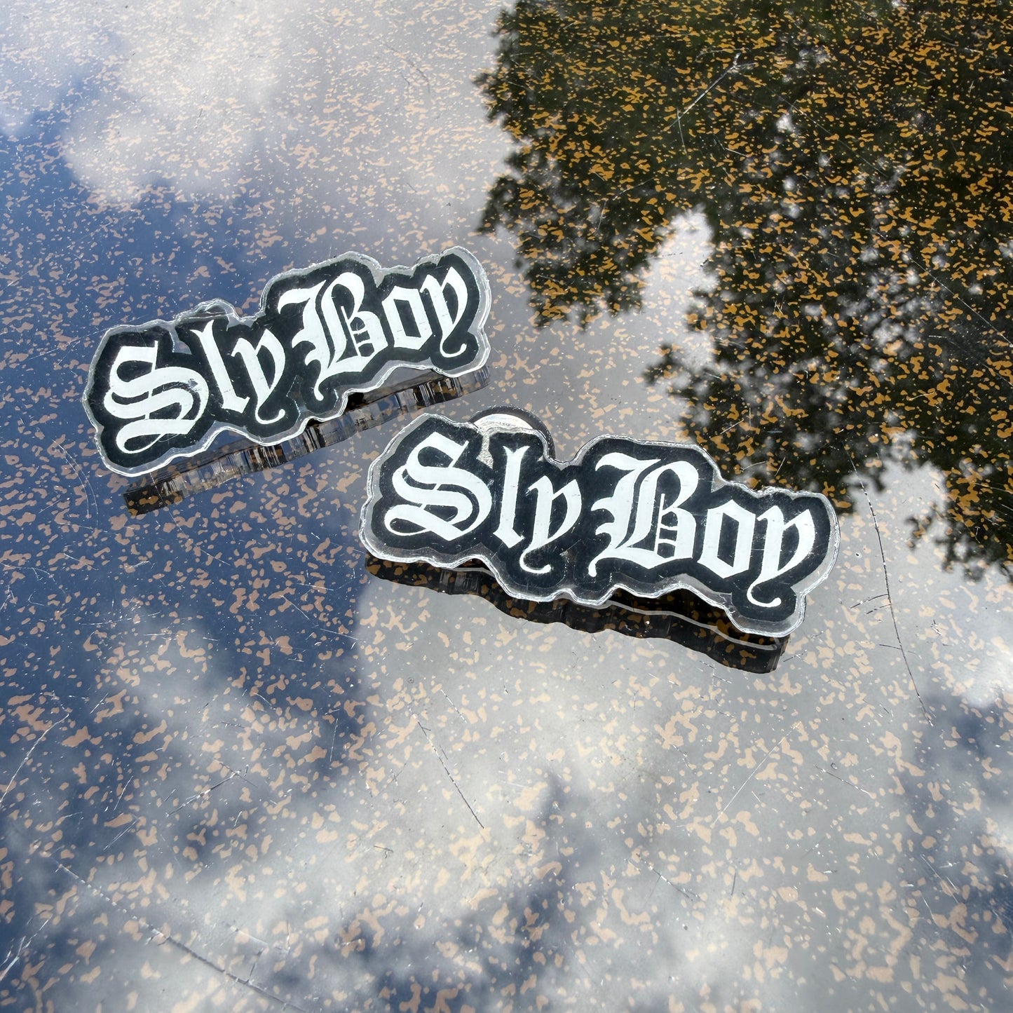 The Sly Boy T-Shirt + Sly Boy Pin